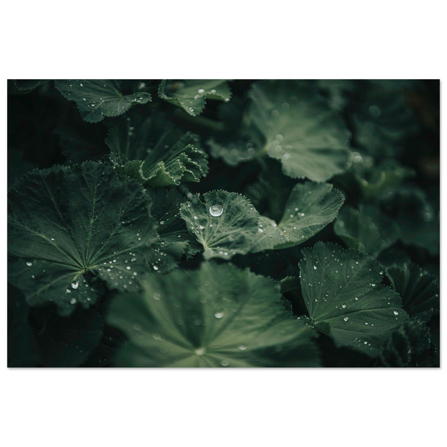 353412a7-cf93-4b24-a2f8-51add7d0b526