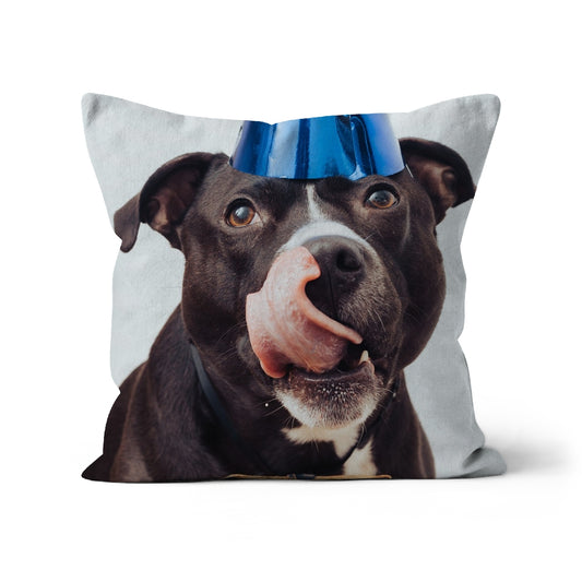 Cushion