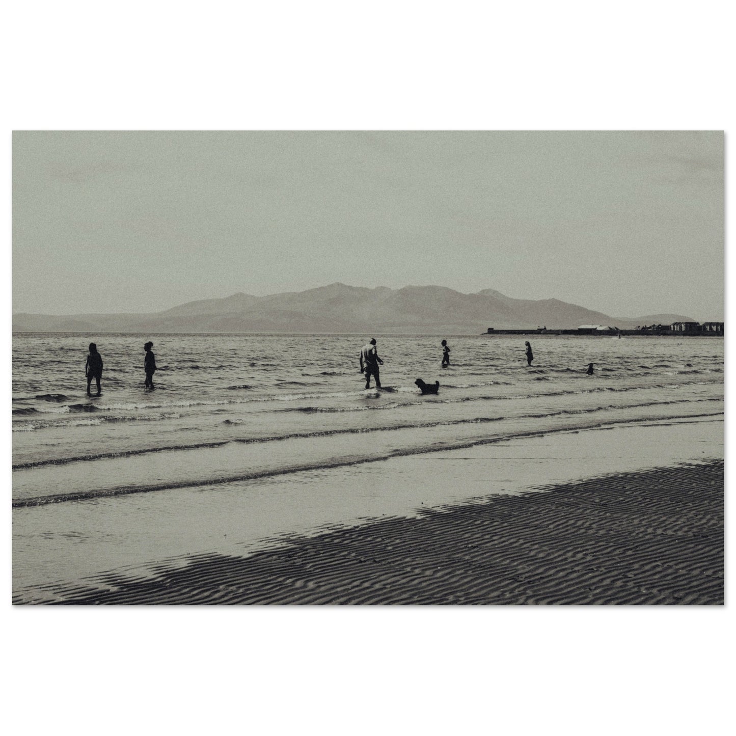 85536b55-f154-4906-a1c7-45974e7f795e